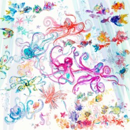 agua poster ciao coyote