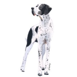 pointer