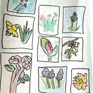 Creative Course